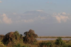 Amboseli Nationalpark - Kilimanjaro