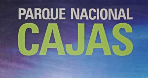Transfer von Cuenca nach Guayaquil - Cajas Nationalpark