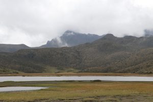 Nationalpark Cotopaxi - Lagune Limpiopungo