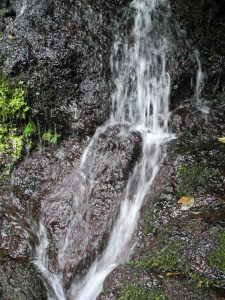 La Paz Waterfall Gardens Nature Park / Naturpark