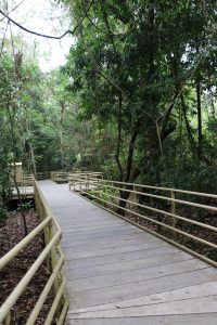 Manuel Antonio Nationalpark - Regenwald, Strand und Tierwelt