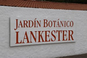 Region Cartago - Lankester Botanical Garden / Botanischer Garten