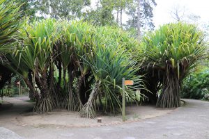 Region Cartago - Lankester Botanical Garden / Botanischer Garten