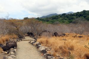 Rincon de la Vieja - Vulkan Nationalpark